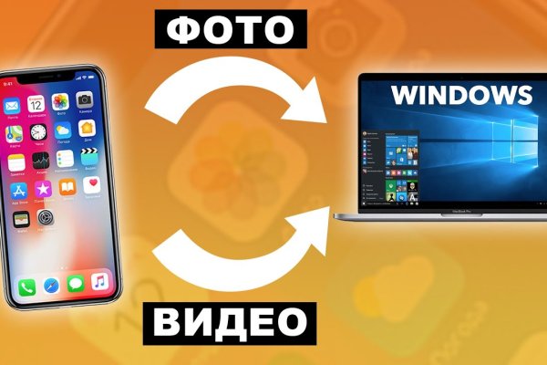 Darknet как войти