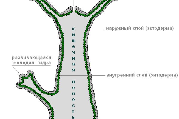 Кракен ссылка работает