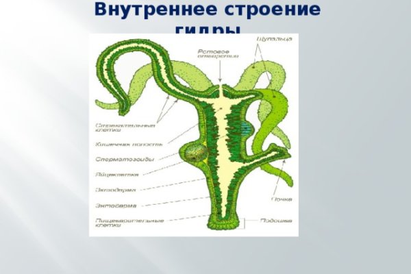 Кракен 17 вход